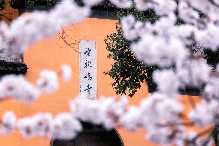 开怀一笑清除烦恼,开怀一笑无烦恼完整版