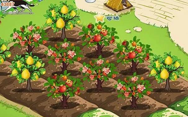 开心农场现实版偷菜,现实版农场主偷菜