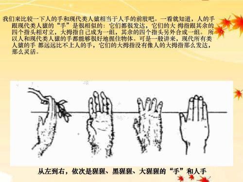 防治腱鞘炎最好的动作,预防腱鞘炎的关键有哪些