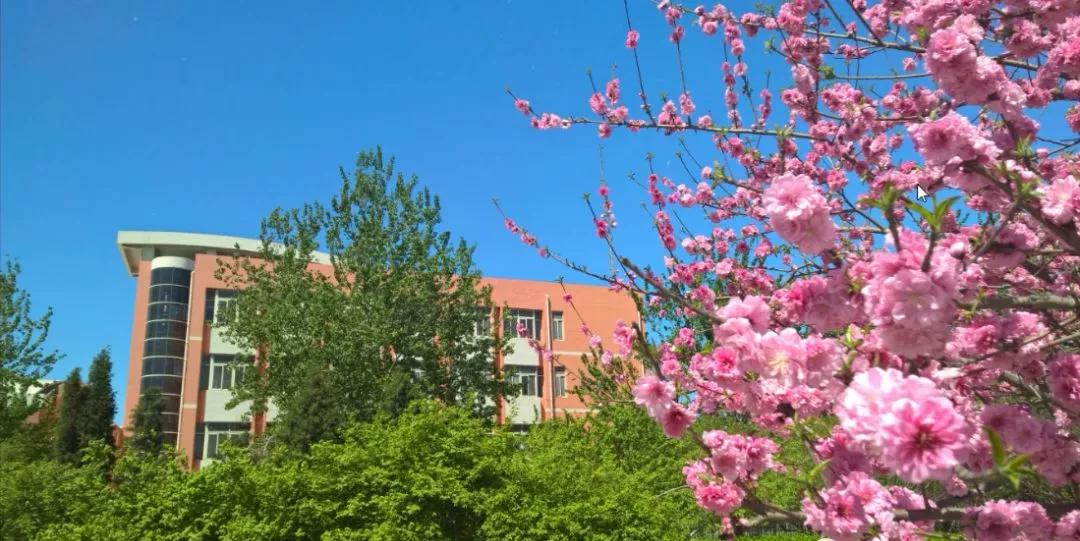 天津市瑞景中学录取分数线,天津市瑞景中学高中视频