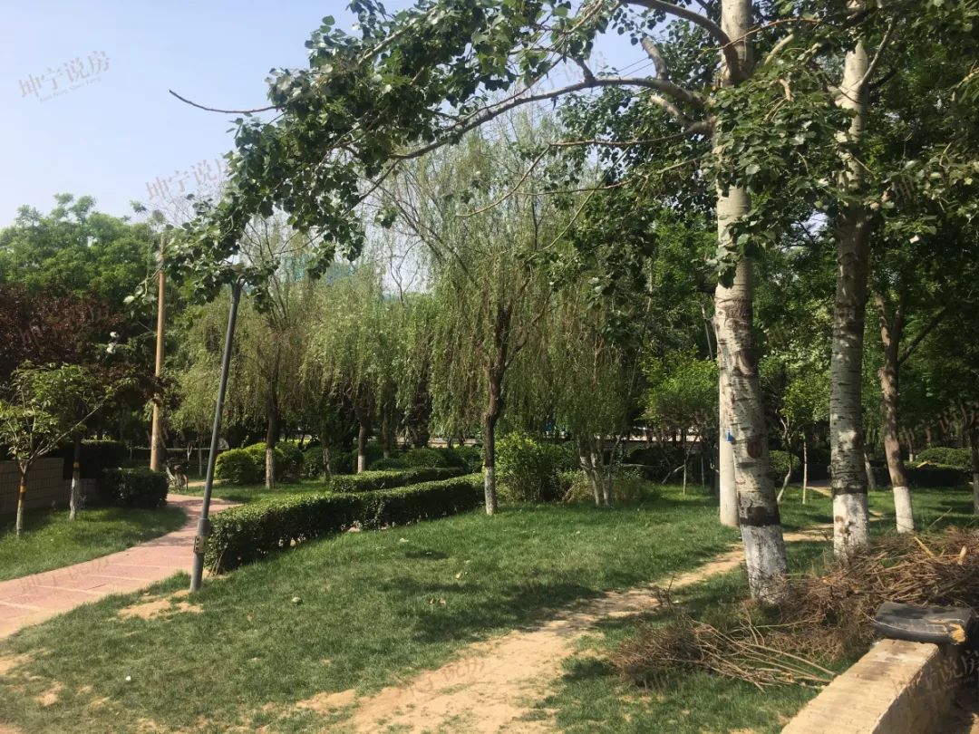 实探学区房,实探一线学区房