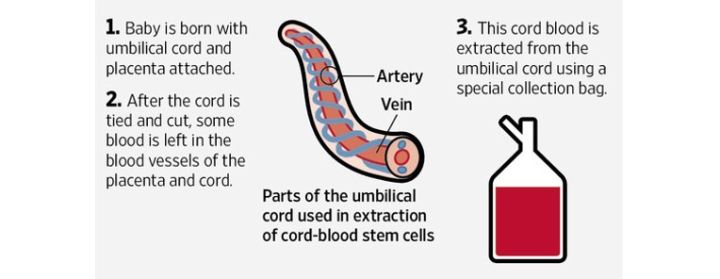 扒一扒法国护肤品,扒一扒护肤品