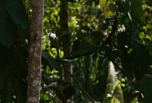 cos蜘蛛侠的姿势可爱,cos蜘蛛侠动画