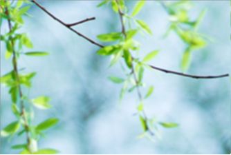 如何查询进口商品是否是正品,如何识别原装进口商品