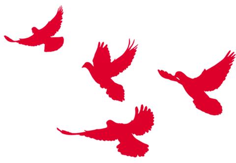 教师优秀党员故事分享,优秀党员事迹教师