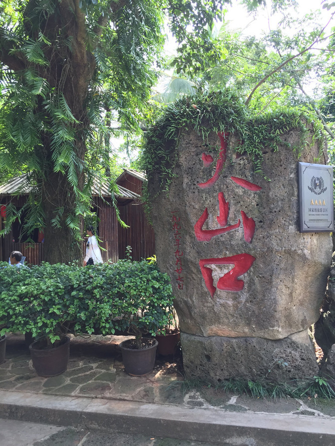 在这个阳光明媚的春季,在这个阳光灿烂的日子里