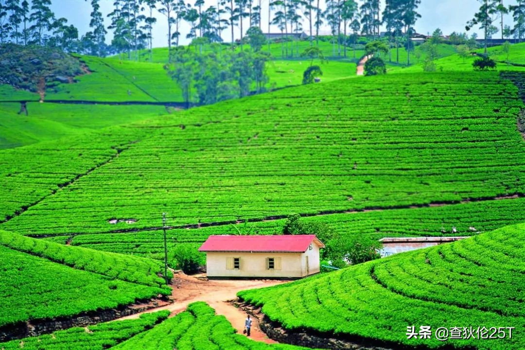 斯里兰卡努沃勒埃利耶打工靠谱吗,斯里兰卡努沃勒埃利耶