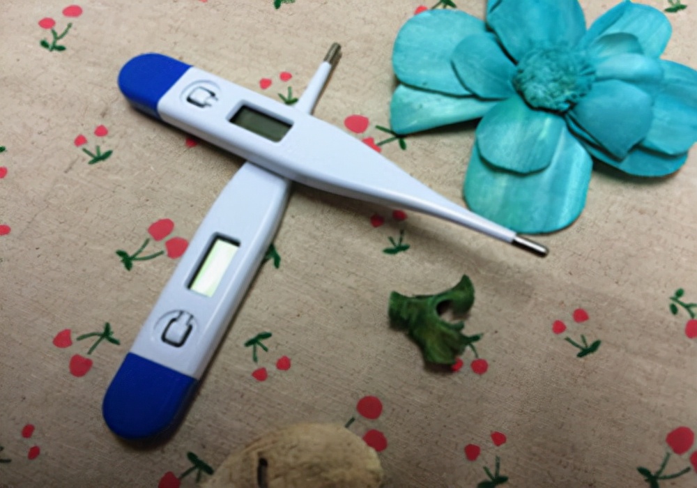 泰迪感冒了打喷嚏怎么回事,泰迪咳嗽怎么好得快呀