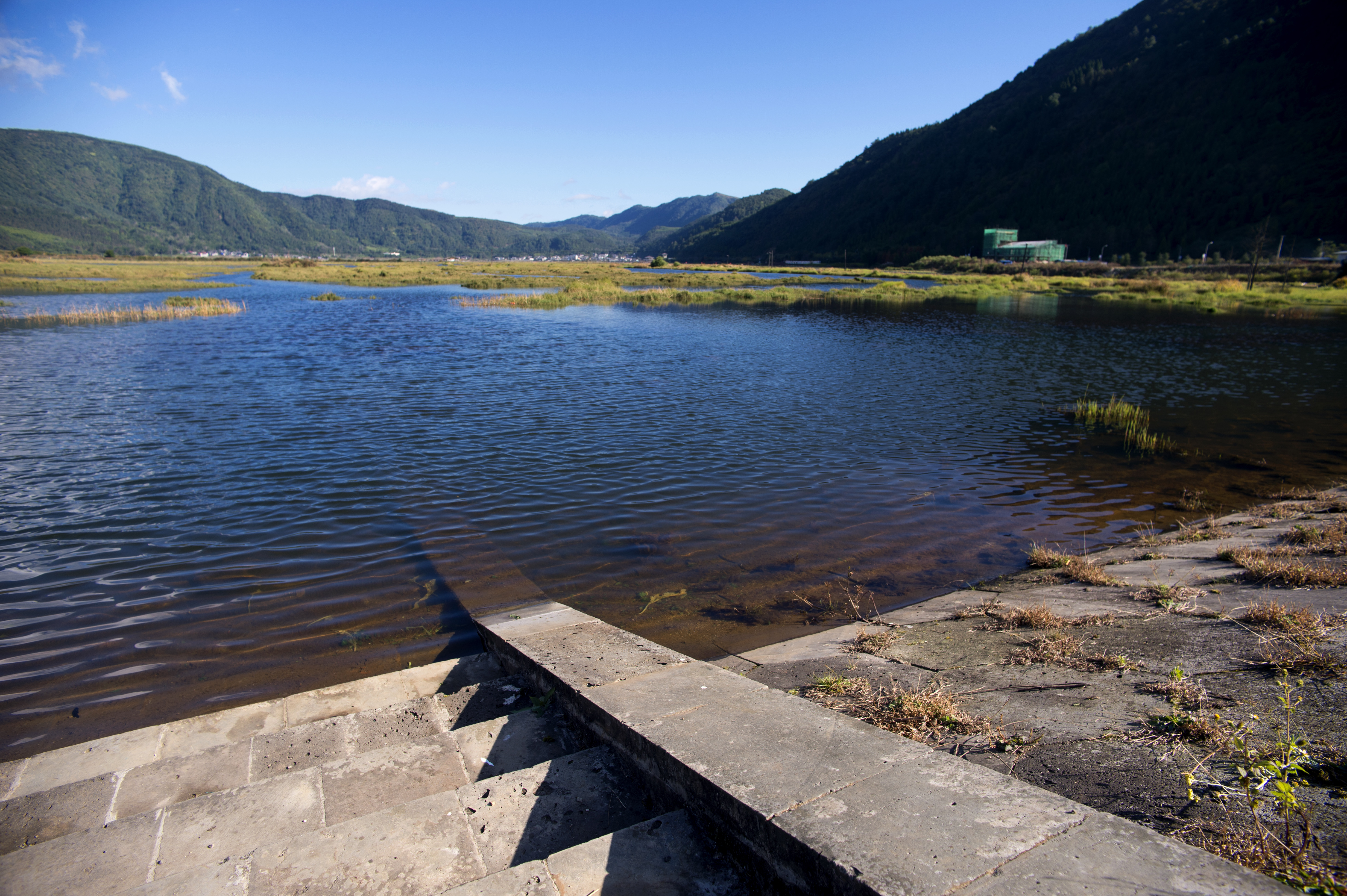 2023腾冲看银杏最佳时间,腾冲看银杏树旅游攻略