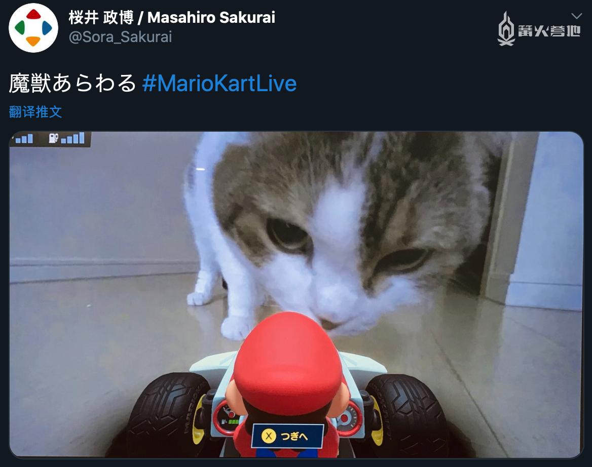 玩《马力欧卡丁车实况：家庭赛车场》前，你问过你家猫咪了吗？