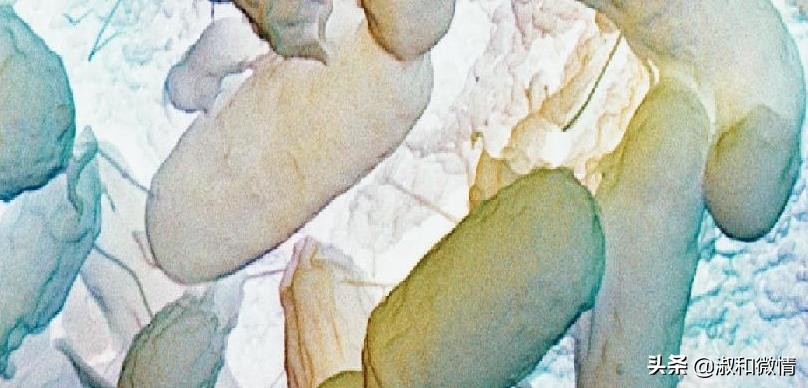 甲硝唑片的说明书用量看不懂,甲硝唑片的适应证有哪些