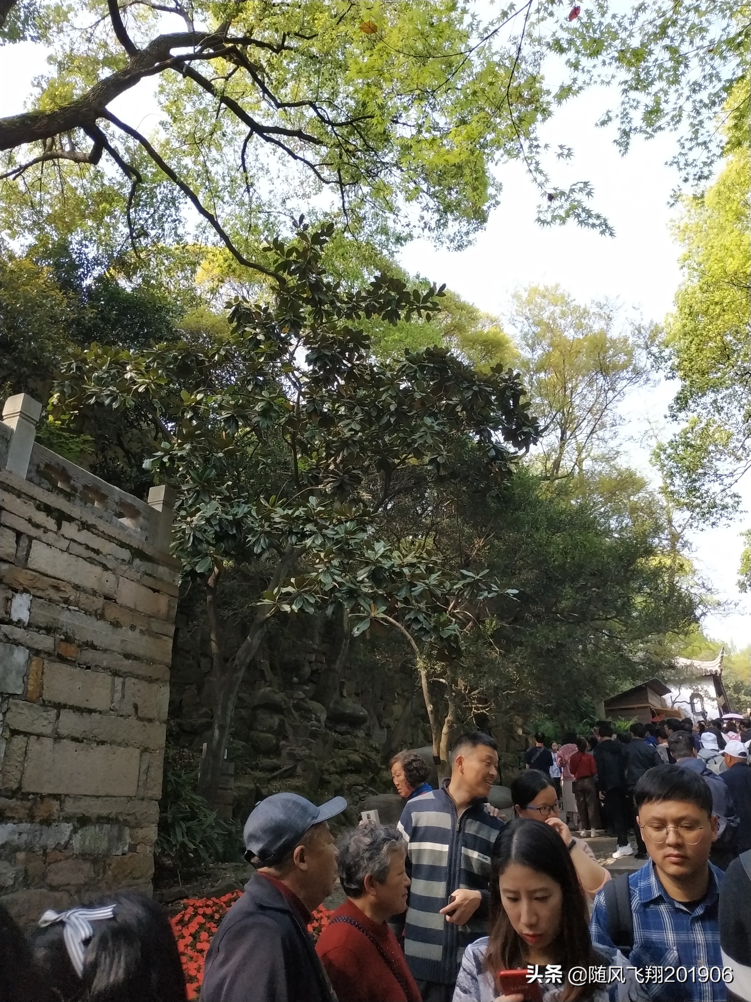 虎丘旅游景点排名,苏州a级景区名单排名