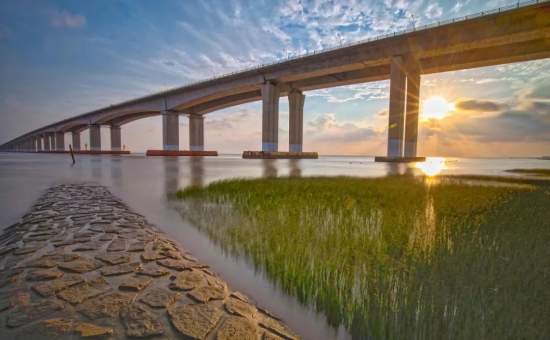 秋天来了,到崇明岛(我国第三大岛)走一圈吧