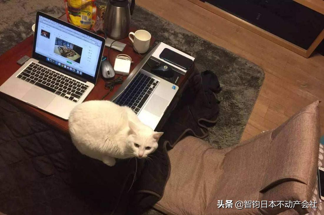 日本房屋在外观装饰上的特点,精致的日本房屋内部