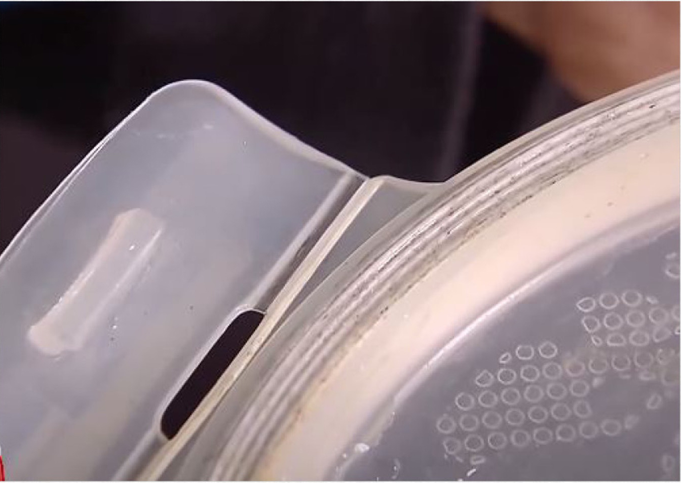 儿童食物饭盒胶圈暗藏致病菌，对孩子健康影响大，家长务必要牢记