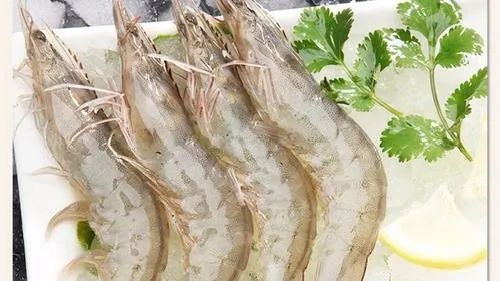 一周在线︱加快居家适老化改造；光明网评“身份证替代老年证”