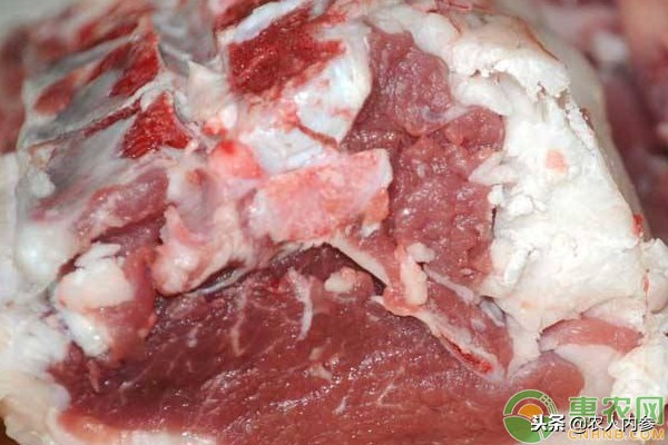 14日菜蛋肉价格