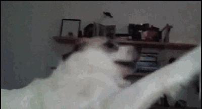 打一耳光的*伤杀**力，可以有多强？最强的能致人死亡