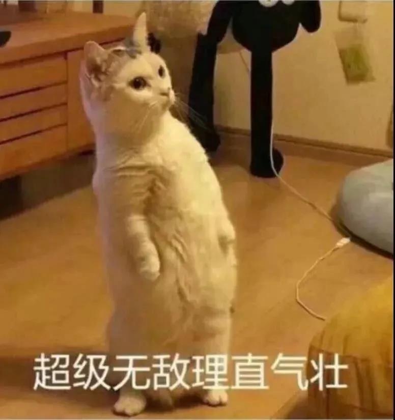 为什么找男朋友要找程序员,找程序员当男朋友十大坏处