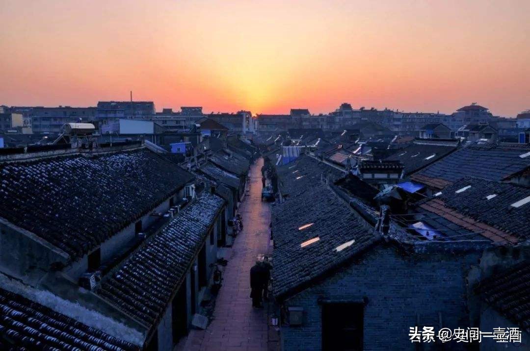 江苏邳州市银杏之乡,银杏之乡江苏泰兴