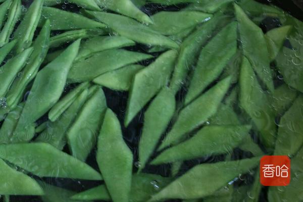 麻辣四季豆的家常做法,红烧麻辣四季豆五花肉