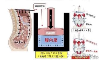 颈肩和腰痛的自我诊断,肩颈腰痛怎么引起的