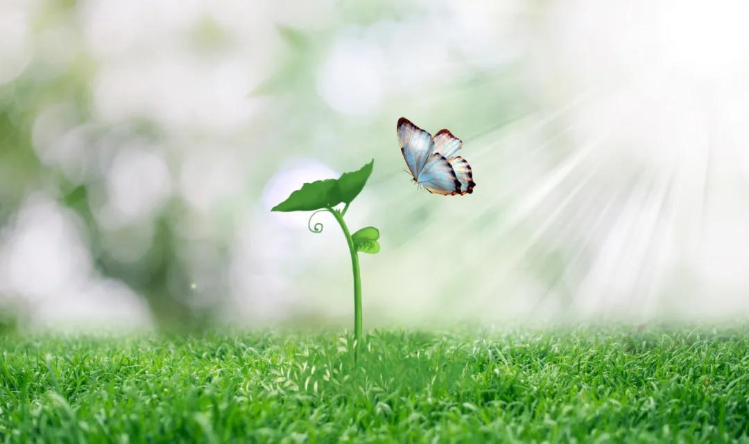 肺癌晚期累得受不了怎么办,肺癌病人乏力怎么办