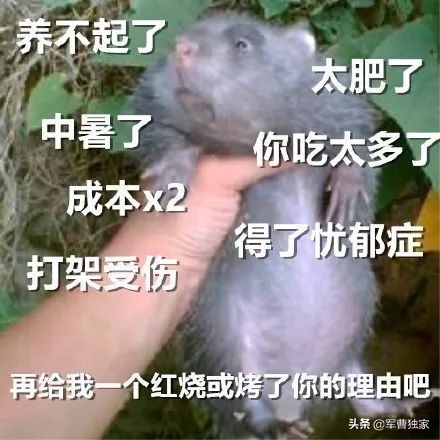 二手房东骗钱可以曝光吗,二手房东租房子的猫腻