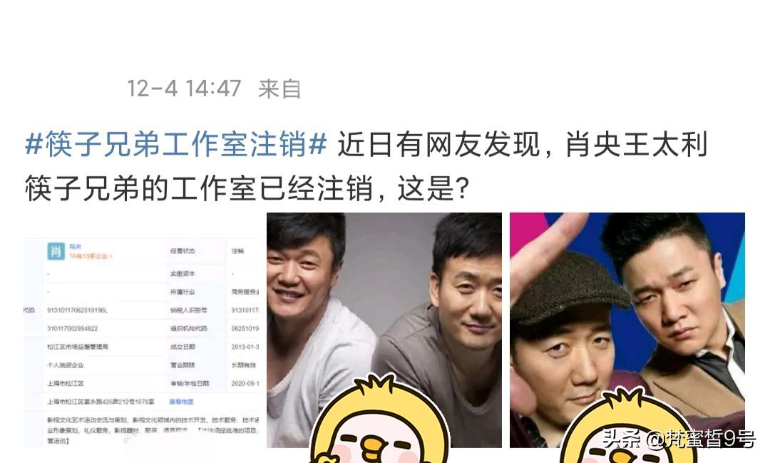 筷子兄弟王大利个人简介,筷子兄弟分析王太利