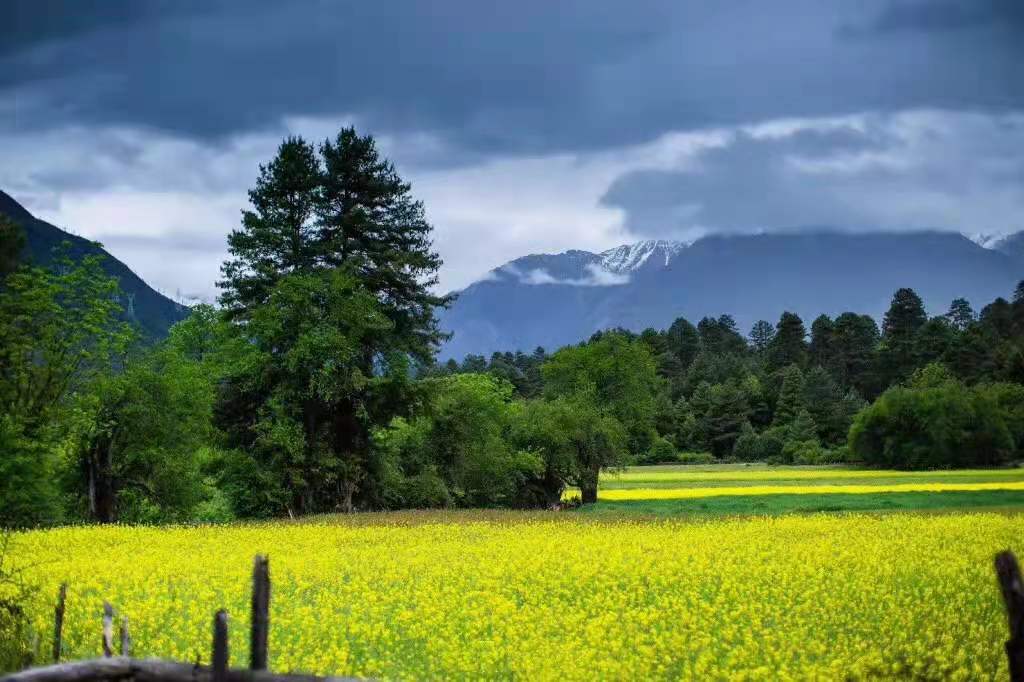 波密到鲁朗细雨蒙蒙,波密到林芝冰川