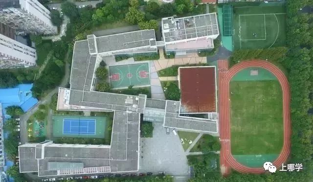 潜力股！上海16区黑马公办小学PK！谁会是下一个明珠、向阳？