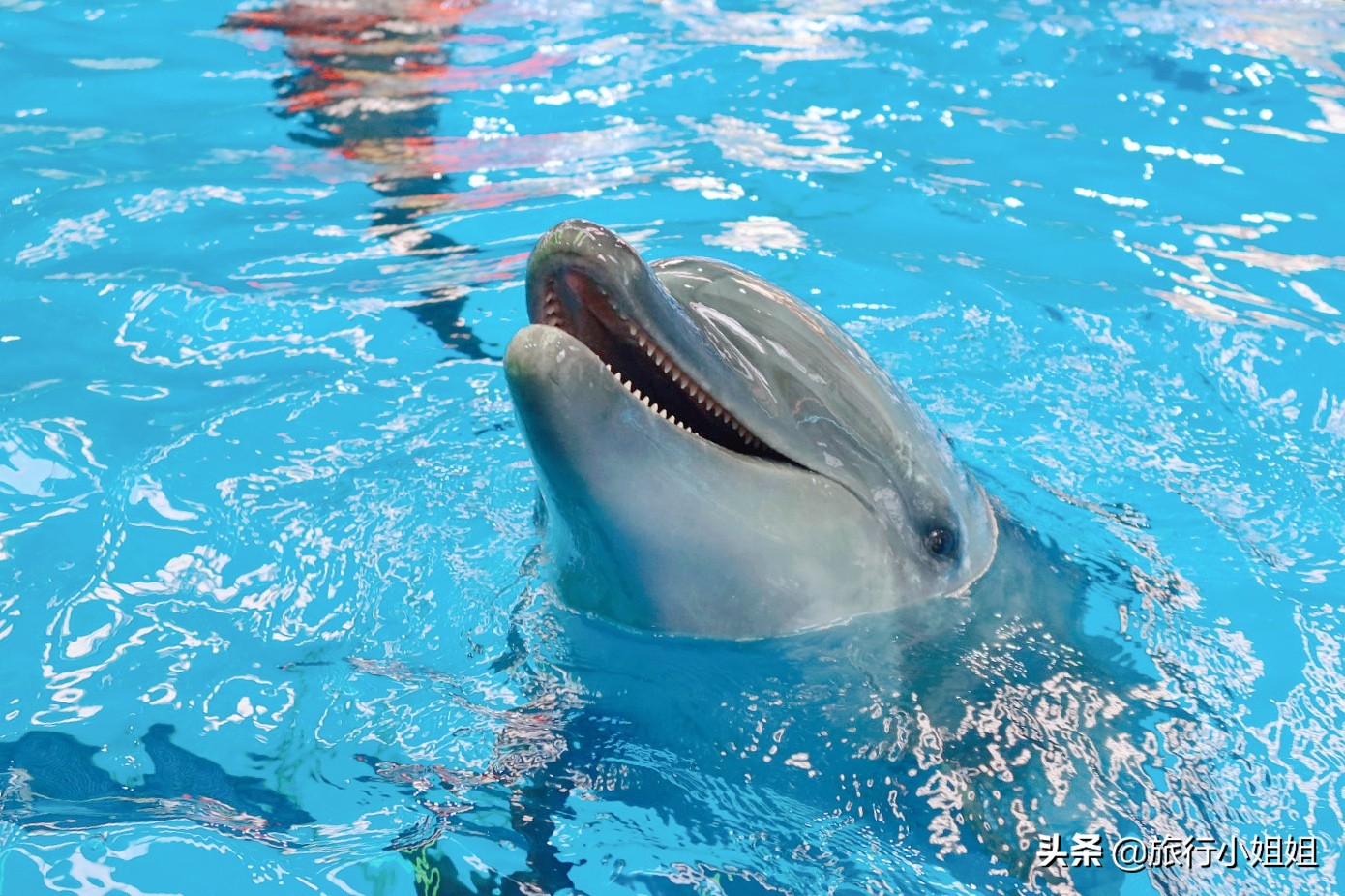 住在梦幻城堡,抚仙湖海豚湾住宿攻略