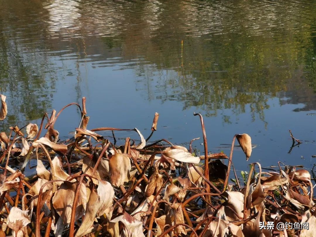 小漂好用还是大漂好用,大漂灵敏还是小漂灵敏