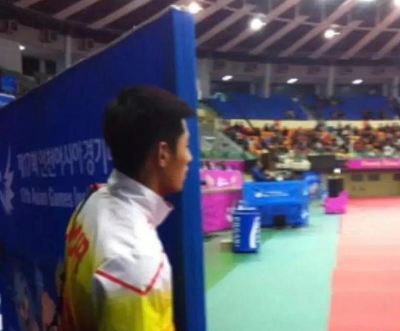 张继科刘诗雯扣球,张继科曾经猛追刘诗雯