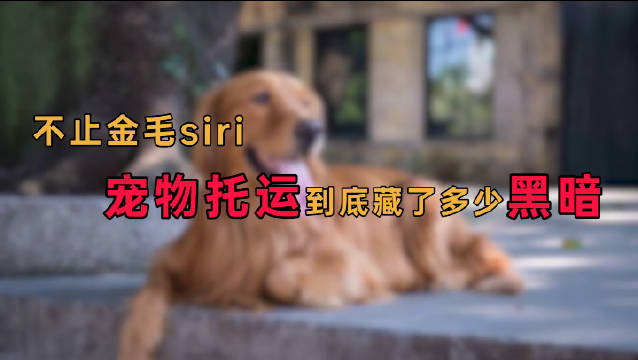 卖家挂羊头卖狗肉消费者如何赔偿,花3000元买只羊