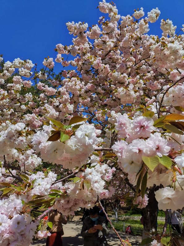 当下股市投资机遇分析,股票的极端行情的风险分析