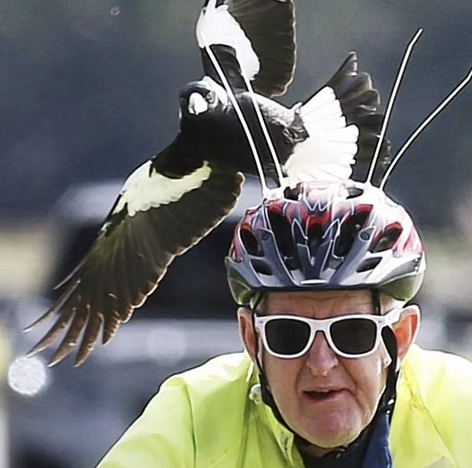 去澳洲后才知道澳洲的医疗服务,来澳洲才知道的大实话