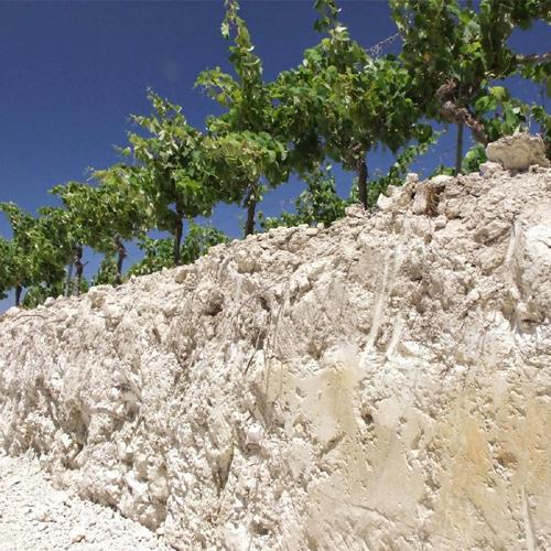 香槟普及知识,关于香槟你需要知道的7个知识