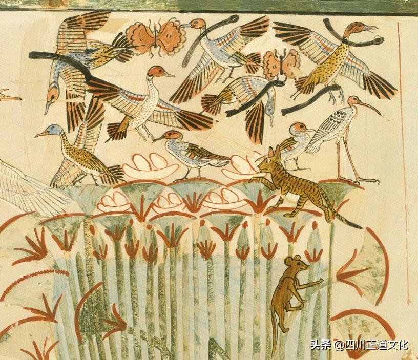 猫的故事,猫的故事视频