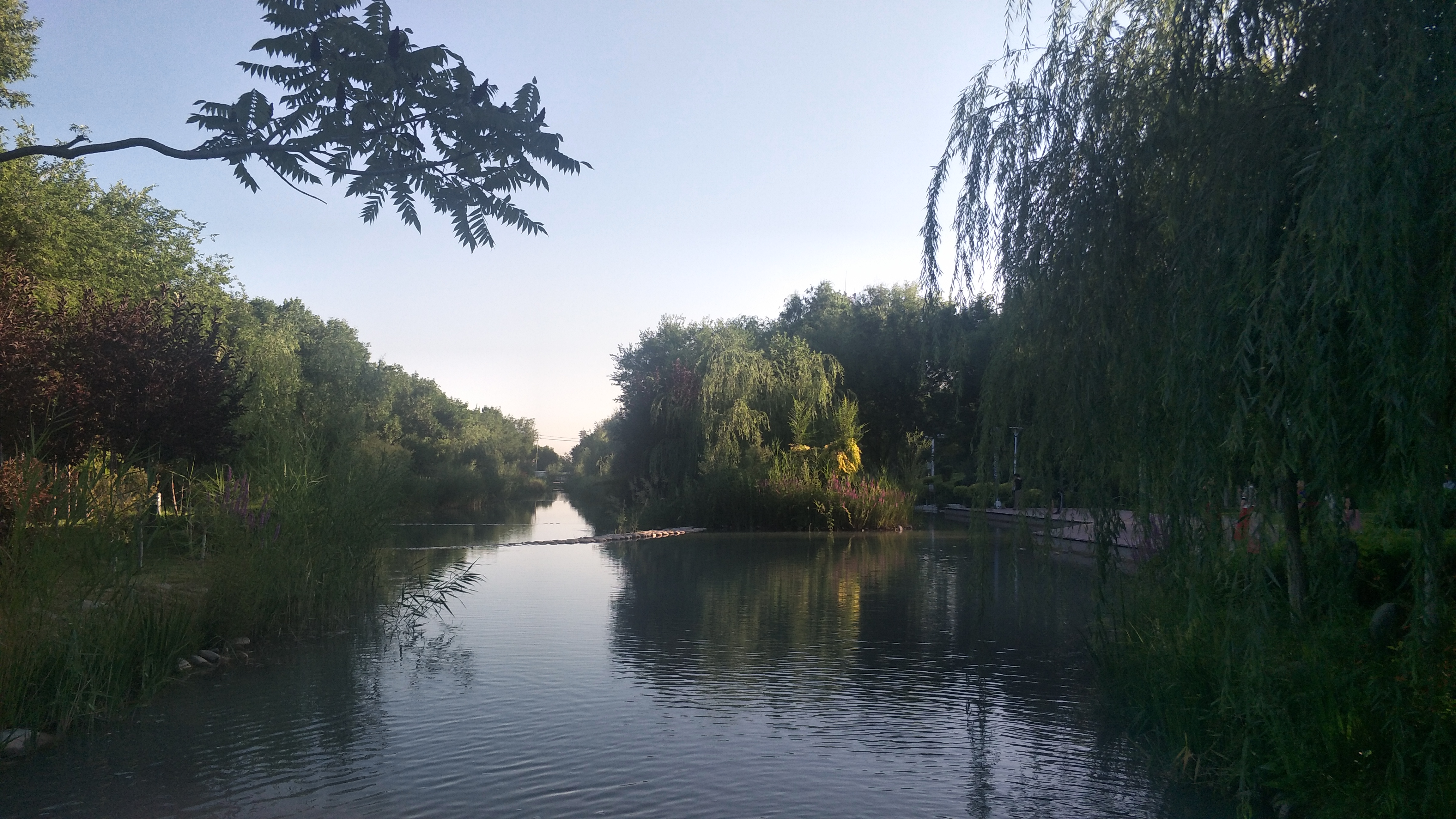 「石河子大学」并不遥远