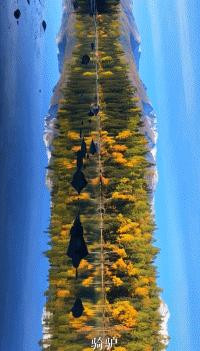 阿勒泰秋季旅行,新疆旅行阿勒泰秋天