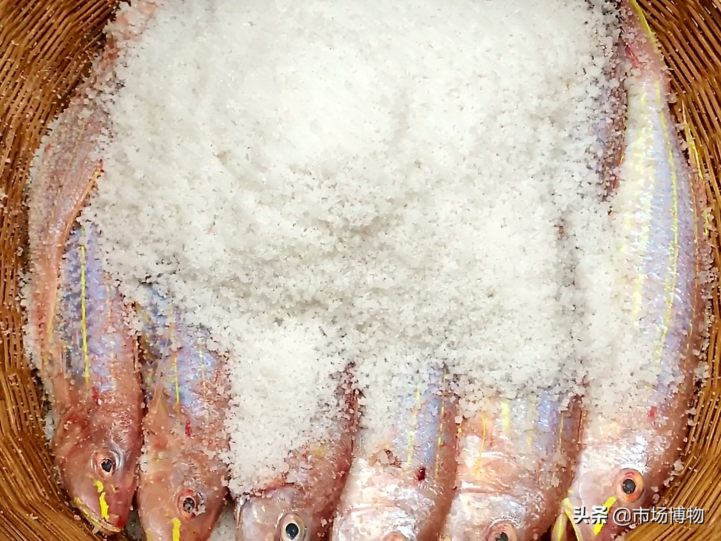 夏天晒咸鱼苍蝇很多怎么办,晒鱼干被苍蝇下蛆虫怎么处理