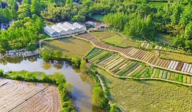 20w打造吃住玩一体农庄,有吃又有玩的农庄