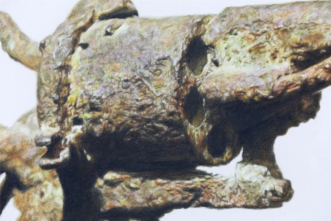 央美vs985,鲁美附中精微素描作品欣赏