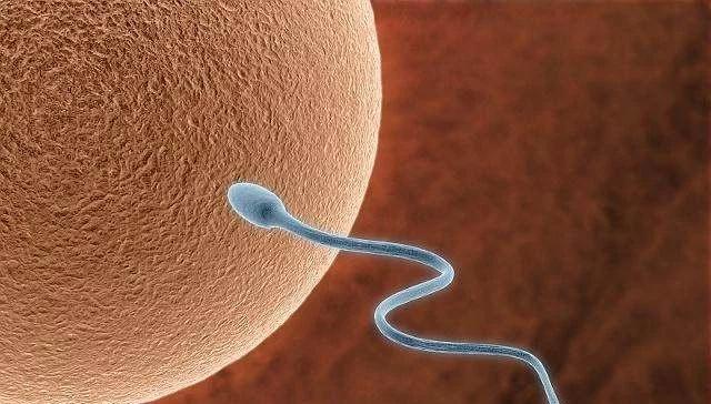 “小蝌蚪”在女性体内会产生什么样的变化，这5种变化有了解过嘛