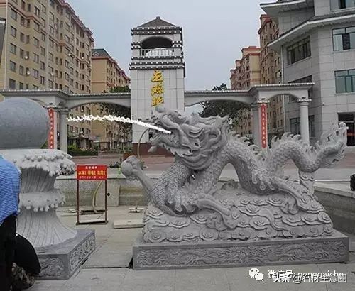 龙的传人对应词,龙图腾寓意