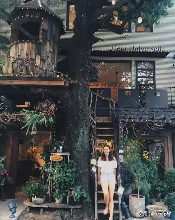 日本东京花店推荐,超美的花店