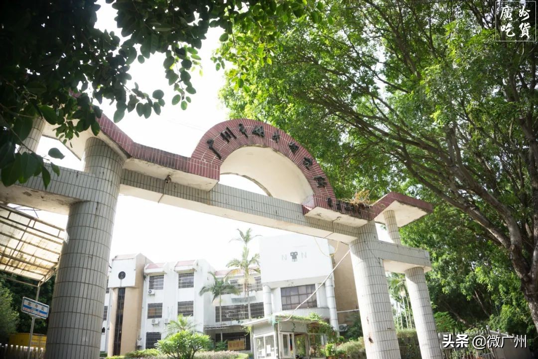 广州市奶牛研究所几点过去买牛奶,广州白云山奶牛研究所