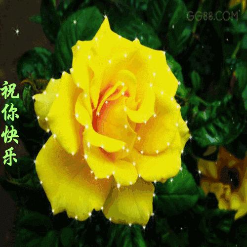 11月快乐我把祝福送给你高清图片,我把祝福送给你动态简谱