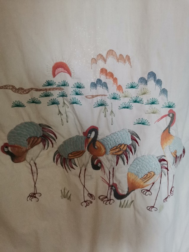 我的门诊故事,我的门诊故事2019